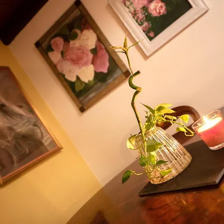 Corte Degli Estensi, Romantica Mansardina