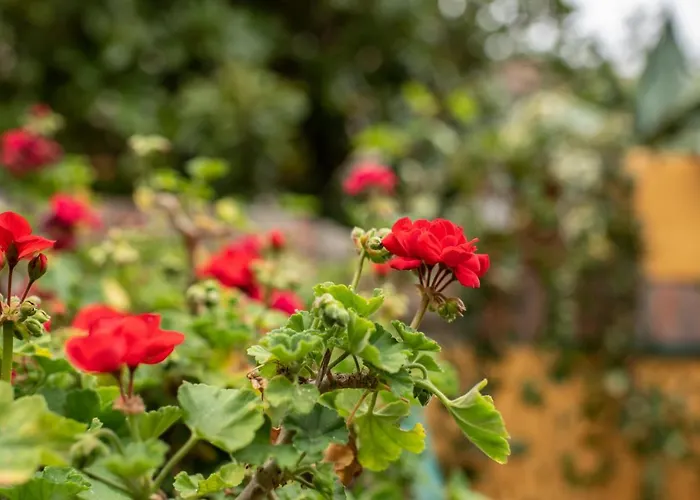Corte Degli Estensi, Romantica Mansardina *